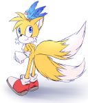  anthro avian bird black_nose canine chiotyan2 clothing dipstick_tail duo feral footwear fox fur gloves male mammal miles_prower multicolored_tail simple_background smile sonic_(series) video_games white_fur yellow_fur 