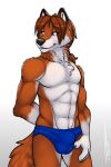  bangs black_lips black_nose blue_eyes brown_hair bulge canine clothing ear_tuft fluffy fox fur grin hair long_hair male mammal muscular neck_tuft orange_fur ponytail skifox smile solo speedo swimsuit teeth tsaiwolf tuft 