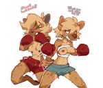  2016 anthro areola bandage barefoot blonde_hair boxing boxing_gloves breasts brown_fur clothed clothing dialogue duo english_text eyes_closed female fight fur hair hyena mammal multi_nipple nipples paperclip_(artist) paws shorts simple_background sport teeth text topless white_background 