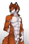  balls bangs black_lips black_nose blue_eyes brown_hair canine ear_tuft fluffy fox fur grin hair long_hair male mammal muscular neck_tuft nude orange_fur penis ponytail skifox smile solo teeth tsaiwolf tuft 