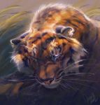  2018 ambiguous_gender digital_media_(artwork) digital_painting_(artwork) feline feral fur mammal orange_fur solo tamberella tiger whiskers 