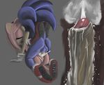  amy_rose graveyardshift sonic_team sonic_the_hedgehog tagme 
