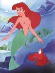  ariel disney sebastian tagme the_little_mermaid 