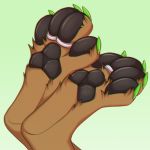  2018 4_toes barefoot black_pawpads brown_fur canine claws digital_media_(artwork) foot_focus fur gradient_background green_claws jayzenzorex kazutsu mammal pawpads paws ring simple_background toe_claws toe_ring toes 