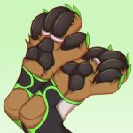  2018 4_toes black_pawpads brown_fur canine claws clothing digital_media_(artwork) foot_focus footwear fur gradient_background green_claws jayzenzorex kazutsu legwear mammal pawpads paws ring simple_background socks stirrup_socks toe_claws toe_ring toeless_socks toes 