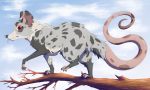  2018 day detailed_background digital_media_(artwork) feral fur grey_fur mammal marsupial nitani opossum outside red_eyes sky solo standing 