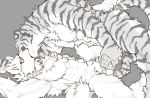  2018 abs absurd_res anthro bed biceps canine digital_media_(artwork) eyewear feline fur glasses hi_res kemono kissing male male/male mammal muscular muscular_male nude pecs simple_background sketch tiger tupidwithouts 