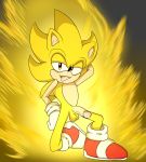  balls cel_shading hedgehog male male/male mammal nude penis pinnup remiraccoon sonic_(series) sonic_the_hedgehog super_sonic 