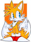  absurd_res anthro black_nose blue_eyes canine clothing dipstick_tail footwear fox fur gloves hi_res luckylovely male mammal miles_prower multicolored_tail shoes signature smile solo sonic_(series) video_games white_fur yellow_fur 