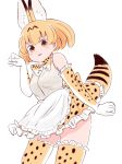  :3 animal_ears apron bare_shoulders batta_(ijigen_debris) blush bow bowtie commentary elbow_gloves gloves grey_shirt highres kemono_friends looking_at_viewer multicolored multicolored_clothes multicolored_legwear orange_eyes orange_hair orange_legwear parted_lips paw_pose serval_(kemono_friends) serval_ears serval_print serval_tail shirt short_hair simple_background smile solo tail thighhighs waist_apron white_apron white_background 