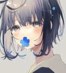  blue_flower blush commentary_request crying crying_with_eyes_open eyebrows_visible_through_hair flower from_side grey_background grey_eyes grey_hair hair_flower hair_ornament looking_at_viewer looking_to_the_side mouth_hold original oshio_(dayo) sailor_collar school_uniform serafuku short_hair simple_background solo tears upper_body white_sailor_collar 