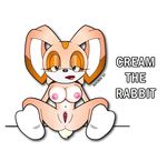  cream_the_rabbit noobis sonic_team tagme 