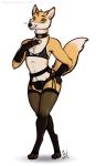  2017 anthro bulge canine clothing collar digital_media_(artwork) fox fur green_eyes lingerie looking_at_viewer male mammal mervyn orange_fur sigil simple_background smile solo standing underwear white_background white_fur 