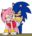  ahegao all_fours amy_rose clothed clothed_sex clothing doggystyle female from_behind_position hedgehog lagomorph looking_pleasured male mammal olympics pants_down partially_clothed pent_up rokkerth sex sonic_(series) sonic_series sonic_the_hedgehog sweat thekaimaster07 