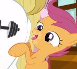  2016 ambiguous_gender anal blargsnarf bulk_biceps_(mlp) butt close-up cub digital_media_(artwork) duo equine feathered_wings feathers female female/ambiguous feral friendship_is_magic horse mammal my_little_pony oral orange_feathers pegasus pony rimming saliva scootaloo_(mlp) sex smile solo_focus wings young 