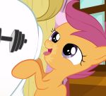  ambiguous_gender anal blargsnarf bulk_biceps_(mlp) butt close-up cub digital_media_(artwork) duo equine feathered_wings feathers female female/ambiguous feral friendship_is_magic horse mammal my_little_pony oral orange_feathers pegasus pony rimming saliva scootaloo_(mlp) sex smile solo_focus wings young 