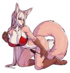  2018 5_fingers anthro big_breasts bra breasts brown_fur brown_nose canine cleavage clothed clothing digital_media_(artwork) female fennec fox fur gurugano hair kneeling long_hair looking_at_viewer loyse mammal navel open_mouth simple_background smile solo tongue underwear white_background white_hair yellow_eyes 