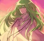 androgynous bangs citron_82 closed_mouth collarbone commentary_request enkidu_(fate/strange_fake) eyebrows_visible_through_hair fate/strange_fake fate_(series) green_eyes green_hair hair_between_eyes half-closed_eyes jewelry light_smile long_hair long_sleeves looking_afar looking_away necklace orange_sky outdoors raised_eyebrows robe shiny shiny_hair sky solo sunlight sunset upper_body very_long_hair white_robe 