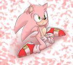  alternate_color angelofhapiness anthro blush clothing footwear fur gloves green_eyes hedgehog legwear male mammal pink_fur simple_background socks sonic_(series) sonic_the_hedgehog 