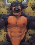  2018 abs anthro areola barazoku biceps bird&#039;s-eye_view black_fur bottle bovine brown_countershading brown_fur cattle countershading dangpa digital_media_(artwork) fur hi_res high-angle_view horn looking_at_viewer lying male mammal multicolored_fur muscular muscular_male navel nipples nude on_back pecs solo two_tone_fur yellow_eyes 
