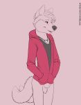  animal_genitalia balls black_nose bottomless brown_eyes canine clothed clothing hands_in_pockets hoodie mammal multi_tail sheath shiuk teenager undershirt wolf young 