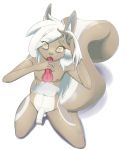  2016 animal_genitalia animal_penis anthro balls canine duo erection first_person_view fur futaku girly hair hi_res high-angle_view knot looking_at_viewer looking_up male male/male mammal nipples nude penis rodent simple_background squirrel white_background 