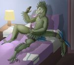  anthro avian bed cum dinosaur feathers lithulraptor looking_pleasured male penis phone raptor selfie solo theropod 