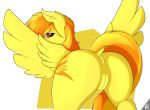  2014 alpha_channel anus butt capseys cutie_mark equine feathered_wings feathers female feral friendship_is_magic fur hair looking_at_viewer mammal multicolored_hair my_little_pony orange_hair pegasus pussy simple_background solo spitfire_(mlp) transparent_background two_tone_hair wings wonderbolts_(mlp) yellow_feathers yellow_fur 