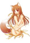  animal_ears blush breasts brown_hair holo long_hair medium_breasts naoyuki_pupu navel nipples nude red_eyes solo spice_and_wolf tail wheat wolf_ears wolf_tail 