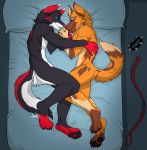  african_wild_dog angiewolf anthro bed blue_eyes canine claws collar cuddling duo fur leash love lying male male/male mammal pawpads paws piercing romantic_couple toe_claws toes wolf 