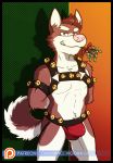  abs bulge canine christmas clothing flower grin holidays leather male mammal mostly_nude muscular plant pose rose seductive smile thong vir-no-vigoratus wolf 