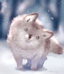  animal animal_focus blue_eyes blurry blurry_background commentary cub depth_of_field highres looking_at_viewer manino_(mofuritaionaka) multicolored_hair no_humans original outdoors signature snow snowing wolf 