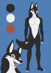  anthro aventis_vixxx canine featureless_crotch fur male mammal model_sheet multicolored_fur nude solo two_tone_fur wolf 