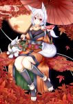  alcohol alternate_hairstyle animal animal_ears autumn_leaves banned_artist bare_shoulders barefoot breasts cleavage collarbone cup feet full_moon hair_ornament hair_ribbon hairclip highres inubashiri_momiji japanese_clothes large_breasts leaf looking_at_viewer moon no_shoes obi oohirakeisuke red_eyes red_ribbon ribbon sakazuki sake sash silver_hair sitting solo tail touhou wolf wolf_ears wolf_girl wolf_tail 