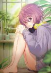  absurdres bare_legs barefoot chair cup fate/grand_order fate_(series) feet_on_chair from_side haru_(hiyori-kohal) headphones headphones_around_neck highres hood hoodie huge_filesize indoors knees_up leg_hug looking_at_viewer mash_kyrielight mug naked_hoodie plant potted_plant purple_eyes purple_hair scan short_hair sitting solo sweater window 