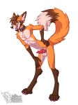  canine erection fox invalid_tag knot leaking male mammal nude penis precum ramaelfox vallhund 
