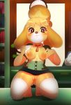  animal_crossing anthro breasts canine clothed clothing female higgyy inside isabelle_(animal_crossing) kneeling legwear looking_at_viewer mammal nintendo nipples pussy short_stack smile solo thigh_highs video_games 