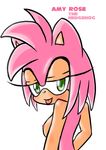  amy_rose nitrotitan sonic_team tagme 