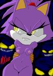  blaze_the_cat monkeyxflash sonic_team tagme 