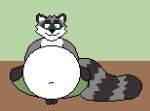  animated belly big_belly digital_media_(artwork) drooling green_eyes howe male_pred mammal pixel_(artwork) procyonid raccoon racethecoon saliva tongue tongue_out vore 