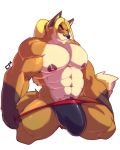  abs anthro barely_visible_genitalia biceps big_muscles bulge canine clothed clothing cursedmarked fox fur hair hi_res huge_muscles kneeling male mammal muscular nipples pecs pubes solo thong topless vein 