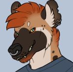  agentmoose banjax blue_eyes clothing eyebrow_dots facial_piercing fangs fauxhawk fur headshot hyena male mammal mohawk nose_piercing notched_ear orange_fur piercing red_fur septum_piercing shirt smile solo spotted_hyena t-shirt teeth yellow_eyes 