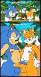  anthro aval0nx balls beach canine chaos_emerald clothing duo embrace eye_contact fox frottage fur gloves green_eyes half-closed_eyes hedgehog humanoid_penis male male/male mammal miles_prower navel nipples outside penis seaside sex smile sonic_(series) sonic_the_hedgehog standing tree uncut 