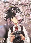  black_dress black_hair blurry blurry_background blush camera cherry_blossoms closed_mouth collared_shirt depth_of_field dress holding holding_camera long_sleeves looking_at_viewer mole mole_under_eye multicolored_hair one_eye_covered original petals pinafore_dress pink_hair shiny shiny_hair shirt short_hair smile spring_(season) teshima_nari tree_branch two-handed two-tone_hair upper_body white_shirt wing_collar 