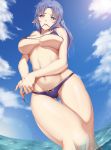  absurdres areola_slip areolae bikini blue_eyes blue_hair blush breasts cameltoe caster collarbone commentary_request covered_nipples embarrassed fate/grand_order fate_(series) from_below highres kamkac large_breasts long_hair looking_at_viewer looking_down micro_bikini mouth_hold ocean pointy_ears ponytail solo standing swimsuit thigh_gap underboob wading wardrobe_malfunction 
