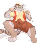  bulge cat clothed clothing feline fully_clothed fur jazcabungcal looking_at_viewer lying male mammal nekojishi on_back shu-chi 