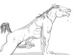  anthro equine furronika horse male mammal masturbation nude penile_masturbation penis solo 