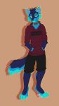  ailuranthropy anthro canine clothed clothing digital_media_(artwork) fully_clothed grin hair happy hoodie male mammal riptide(infoxicated) short_hair simple_background smile solo standing wolf 