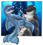  2002 anal anal_penetration cetacean cum cum_in_ass cum_inside dolphin handjob male male/male mammal marine penetration penis rei_vagan sex underwater water 