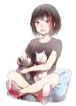  animal animal_on_lap bang_dream! bangs black_cat black_hair black_shirt blush bob_cut bow bowtie cat collarbone crossed_legs cushion highres mitake_ran multicolored_hair no_socks open_mouth petting red_bow red_eyes red_footwear red_hair round_teeth shirt shoes short_hair short_sleeves simple_background sitting solo streaked_hair t-shirt teeth upper_teeth white_background white_cat xuanwo_o 